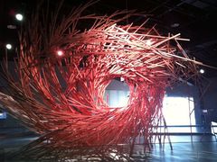 溱湖国家湿地公园-溱湖国家湿地公园