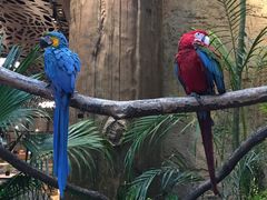 -杭州开元森泊度假乐园