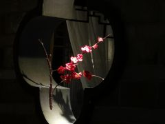 -韵秋荷(宝山龙湖天街店)