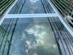 -客天下恐龙水晶玻璃桥