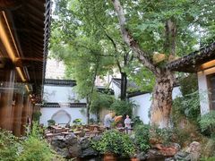 -鲤院·新中式美学·庭院餐厅(夫子庙店)