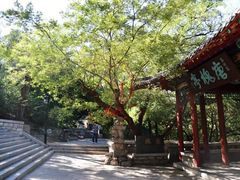 -千佛山风景名胜区