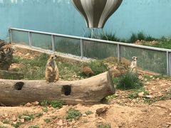 -无锡动物园·太湖欢乐园