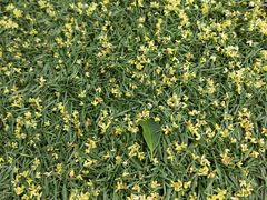 -达美乐比萨(建康路店)