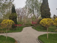 -廊坊文化艺术中心