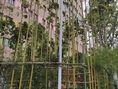 -西安高新医院