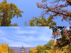 -灵谷景区