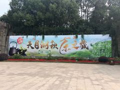 -天目湖山水园