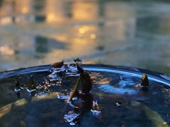 -Metal hands·铁手咖啡