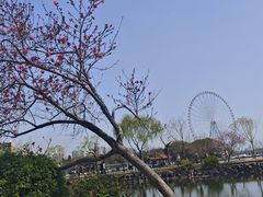 -无锡蠡湖国家湿地公园-蠡园