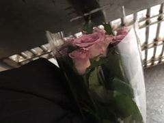 -循礼门鲜花花市(武汉循礼门店)