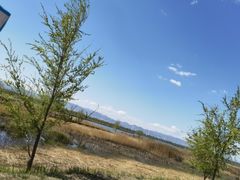 -野鸭湖国家湿地公园