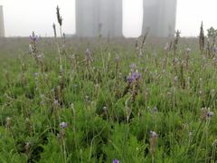 -杭州城北体育公园