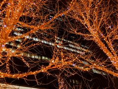 -国贸中心·国贸大厦三期