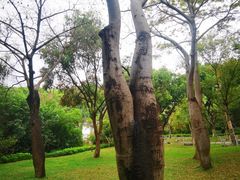 -深圳国际园林花卉博览园