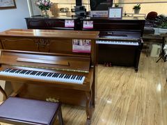 -雅马哈钢琴专卖店盛世雅歌琴行·电钢琴城·钢琴培训(翠微路店)