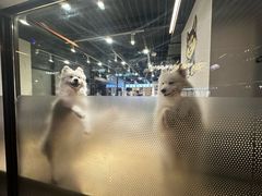 -瑞虹新天地月亮湾