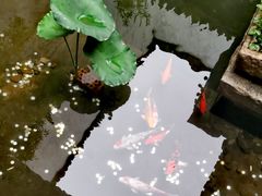 -嘉兴月河历史街区