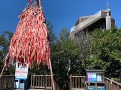 -帽儿山国家森林公园