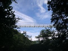 -藏龙百瀑风景区