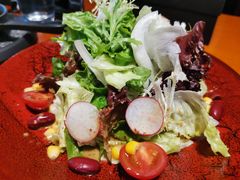 田园时蔬沙拉-布拉格餐厅· 中欧捷克菜(全国首店)