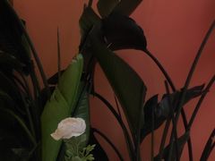 -逸绮瑶澜MissMousse Cake蛋糕(三里屯店)
