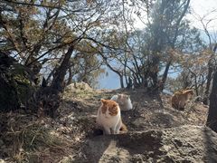 -终南山南五台景区