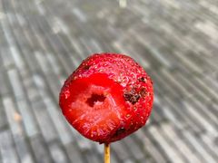 -雪儿钱局泡菜