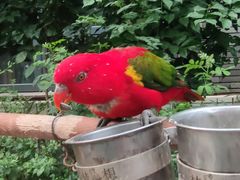 -南宫五洲植物乐园