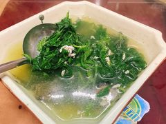 上汤桑叶-荔枝红五号农庄