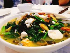 -食为先(Shark Fin)