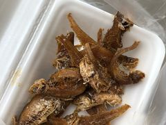 -乔家栅(襄阳南路店)