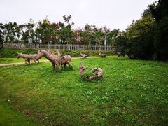 -上海长兴岛郊野公园