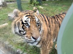 -栾川竹海野生动物园