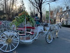 -石家庄市动物园