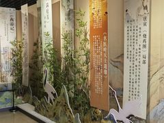 -安徽省地质博物馆