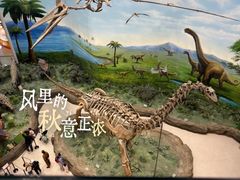 -辽宁古生物博物馆