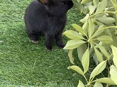 -圣露庄园·露营·烤肉·亲子