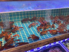 -渔家风味·鲅鱼水饺·央视展播·海鲜天津菜(开发区店)