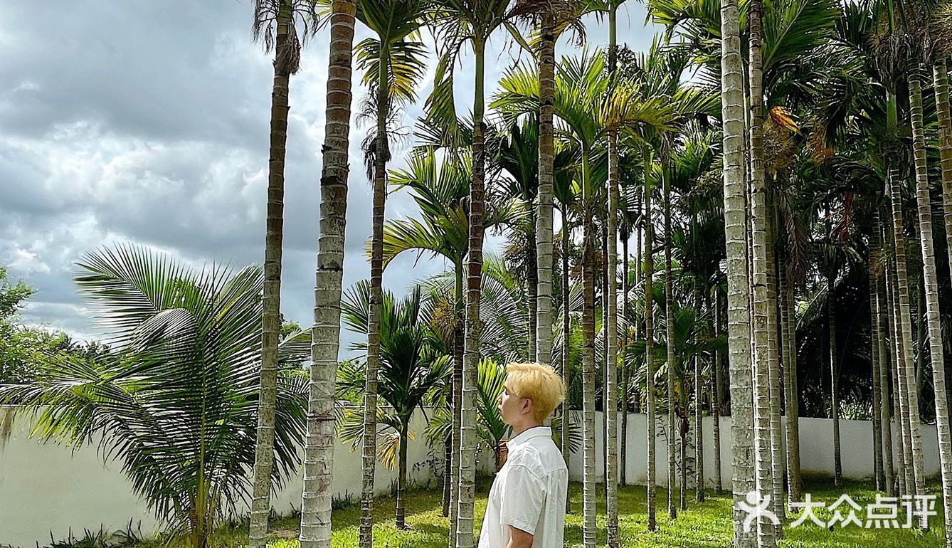 三亚旅游｜肖战周深同款ins风民宿💥绝美热带丛林🍍