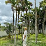 三亚旅游｜肖战周深同款ins风民宿💥绝美热带丛林🍍