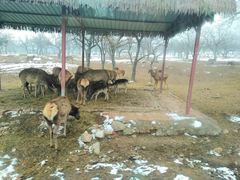 -西安秦岭野生动物园