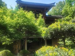 -武汉园博园(武汉自然博物馆)