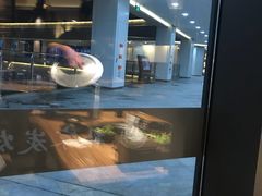 -朴家炭烤(浦东禹悦汇店)