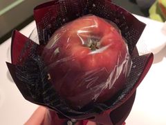 -蝶舍·MAISON PAPILLON