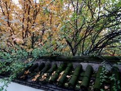 -西安青龙寺遗址景区