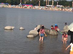 -上海月湖雕塑公园
