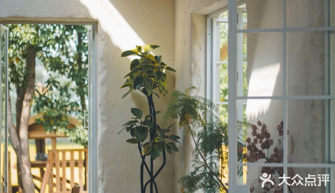 建筑师的稻田咖啡馆，美出天！