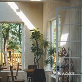 建筑师的稻田咖啡馆，美出天！