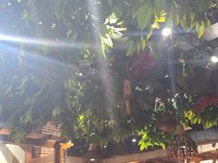 -草原塞蛮羊火锅城(港湾店)